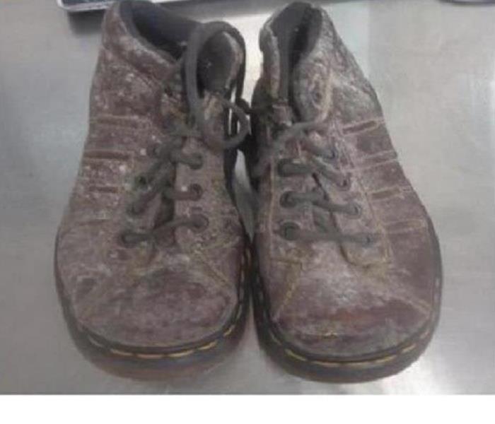 Mold covered leather boots