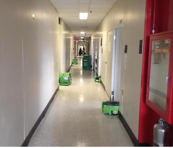 Dry and clean school hallway.