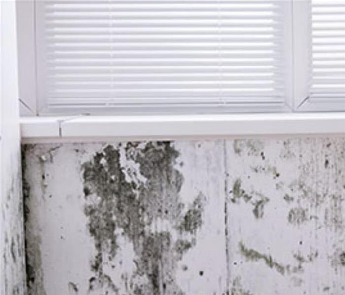 Mold on wall under a window