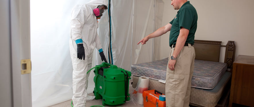 Yuma, AZ mold removal process